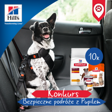 Konkurs fotograficzny "Bezpieczne podróże z pupilem" do godz. 9:00