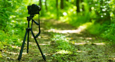 Konkurs "Lasy z obiektywach leśników"