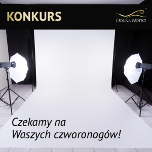 Konkurs "Kalendarz Doliny Noteci"