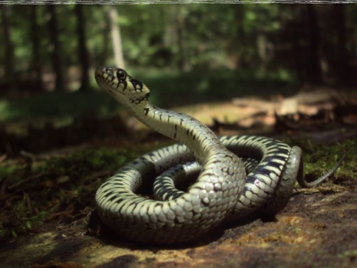 Konkurs "Wrzesień 2018"