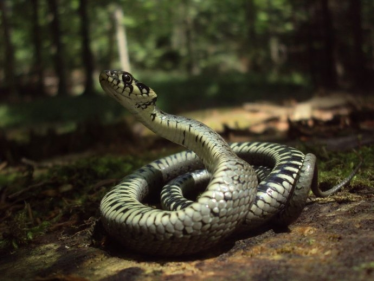 Konkurs "Wrzesień 2018"