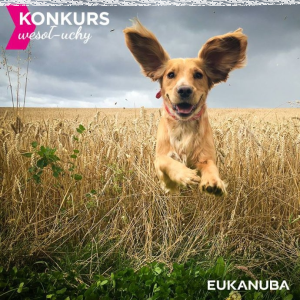 Konkurs "Wesołuchy sierpień 2018"