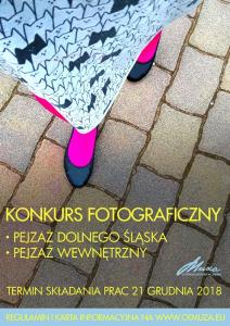 Konkurs fotograficzny "Pejzaż Dolnego Śląska i Pejzaż wewnętrzny"