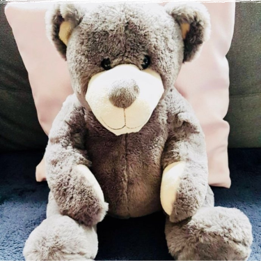 Wymyśl imię dla maskotki projektu "Śląskie Centrum Perspektyw"