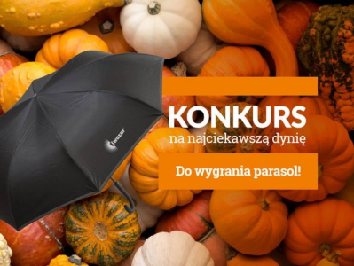 Konkurs na najciekawszą dynię