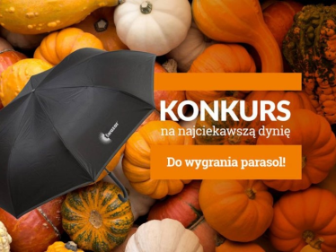Konkurs na najciekawszą dynię