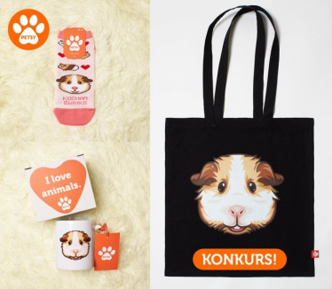 Konkurs na najbardziej uśmiechniętą świnkę sponsorowany przez markę Petsy! do godz. 20:00