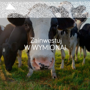 Konkurs "Zainwestuj w wymiona!"