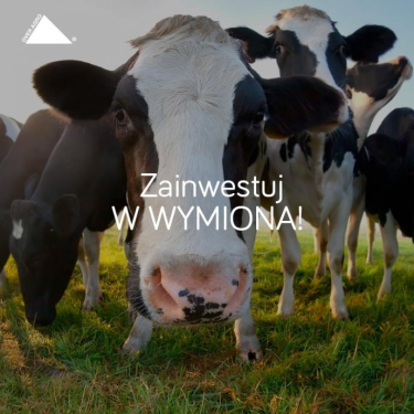 Konkurs "Zainwestuj w wymiona!"