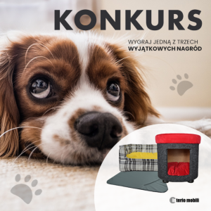 Konkurs "Zabawne zdjęcie pupila"