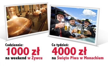 Loteria "Święto Piwa - Żywiec 2018" Żabka /Freshmarket, 18+