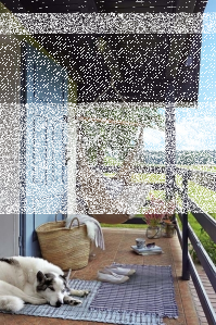 Konkurs na 10. urodziny Werandy Country!