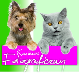 Ełk: Konkurs fotograficzny "Nasze zwierzaki"