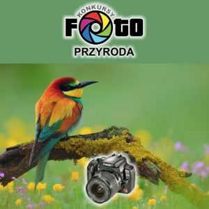 Konkurs "Przyroda"