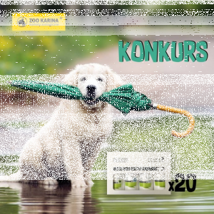 Konkurs fotograficzny "Poznaj szampony od Dr Lucy"