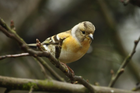 Konkurs "Październik 2018"