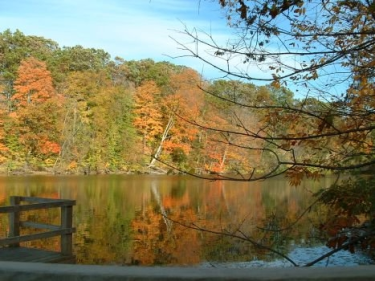 Konkurs "Jesienne zgadywanki"