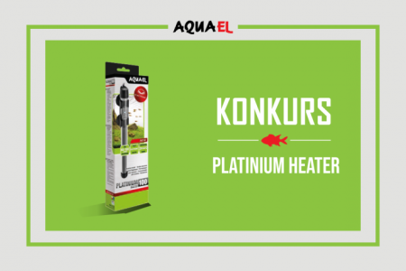 Konkurs "Jak zaczęła się Twoja przygoda z akwarystyką"