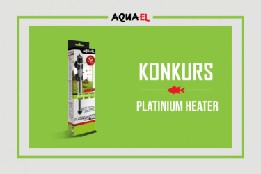 Konkurs "Jak zaczęła się Twoja przygoda z akwarystyką"