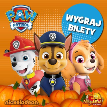 Wygraj bilety do Majaland Kownaty