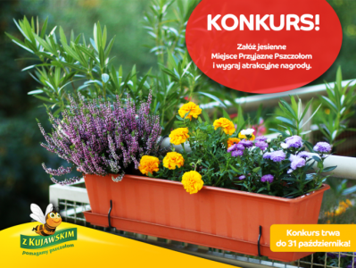 Konkurs fotograficzny "Jesienne Miejsce Przyjazne Pszczołom"