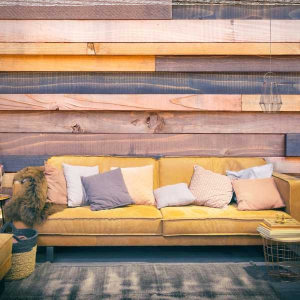 Konkurs "Fototapety, fotoparawany, obrazy 4"