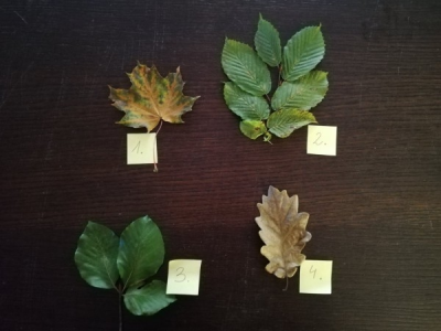 Konkurs "Z biegiem Wdy X-3"