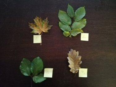 Konkurs "Z biegiem Wdy X-3"