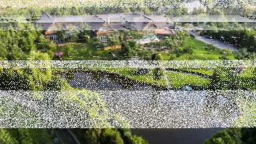 Konkurs fotograficzny "Trenuj z psem"