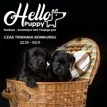 Konkurs fotograficzny od HelloDogs.pl