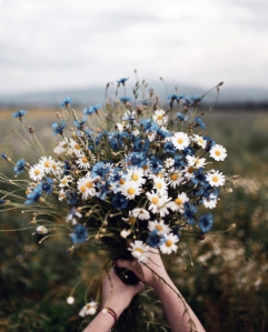 Konkurs fotograficzny "Moja Okładka Country"