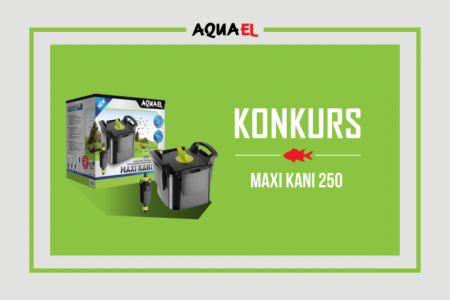 Konkurs fotograficzny "Moje akwarium biotopowe"