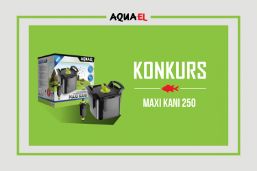 Konkurs fotograficzny "Moje akwarium biotopowe"