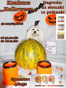 Konkurs fotograficzny "Halloween"