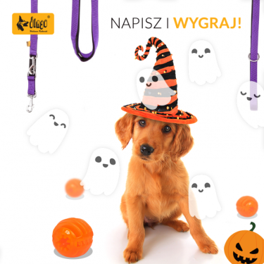 Konkurs "Halloweenowa zabawa"