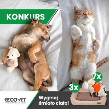 Konkurs fotograficzny "Wyginaj śmiało ciało"