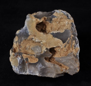 Konkurs "Zagada listopadowa"