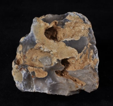 Konkurs "Zagada listopadowa"