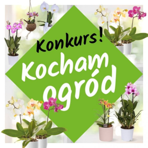 Konkurs fotograficzny Leroy-Merlin "Storczyki"