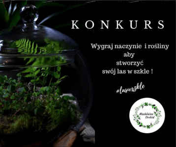 Wygraj naczynie i rośliny