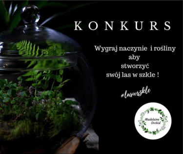 Wygraj naczynie i rośliny