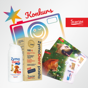 Konkurs "Jak dbasz o zęby swojego psa lub kota"