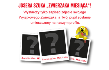 Konkurs "Zwierzak Miesiąca I JOSERA"