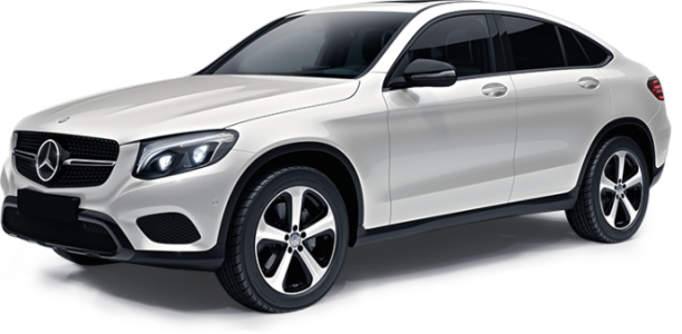 Konkurs "Zimoodporni" BP