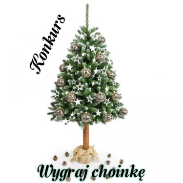 Wygraj choinkę na pniu