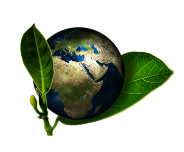 Konkurs dla dzieci ze szkół podstawowych "O Laur Zawodziański"