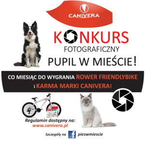 Konkurs fotograficzny "Pupil w mieście"