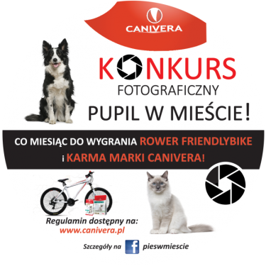 Konkurs fotograficzny "Pupil w mieście"