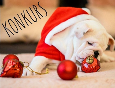 Konkurs "Mikołajkowy"