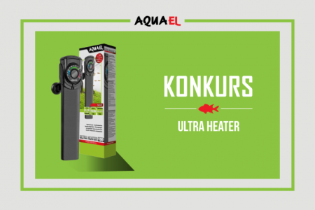 Konkurs "Mój ślimak"